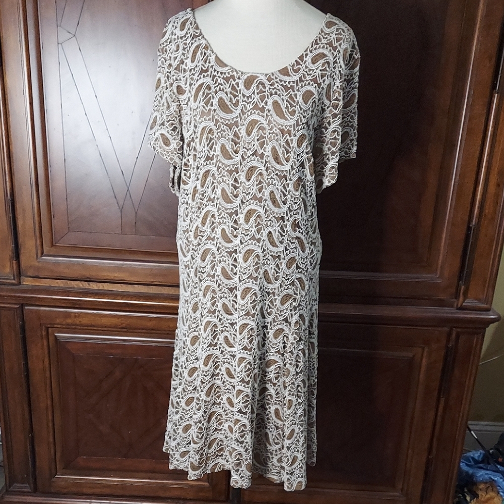 The Pyramid Collection Brown & Cream Stretch Lace Dress - EUC - Size 2X